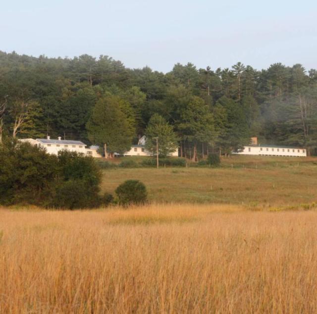 Meadowmount Fields