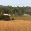 Meadowmount Fields