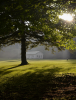 Meadowmount Grounds